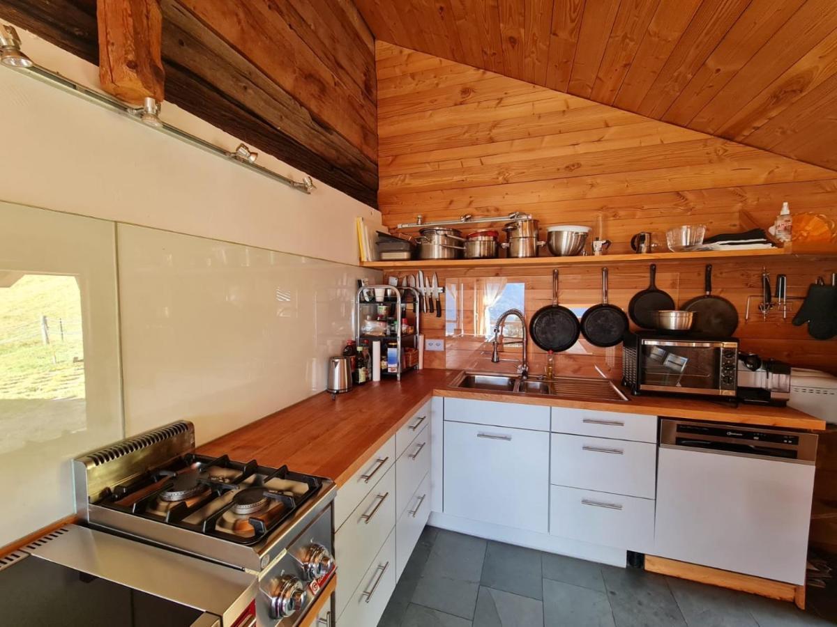 Chalet Biene - Swiss Alp Chalet With Sauna And Jacuzzi Ulrichen Eksteriør bilde